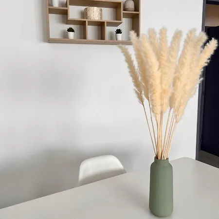 Centre Superbe F2 Avec Garage Apartament Nancy