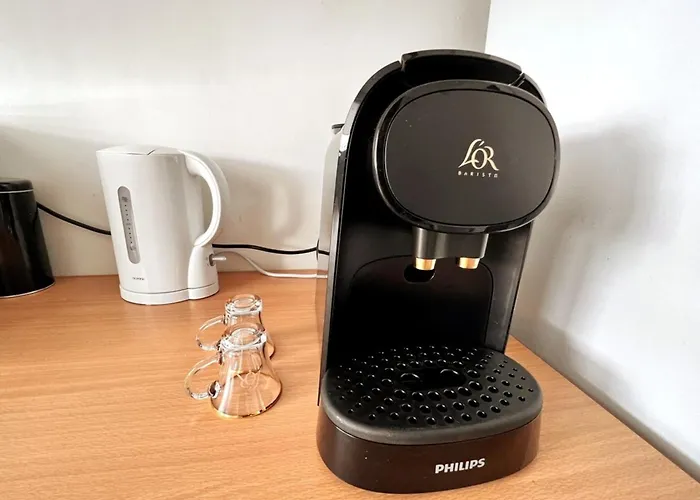 Centre Superbe F2 Avec Garage アパート *