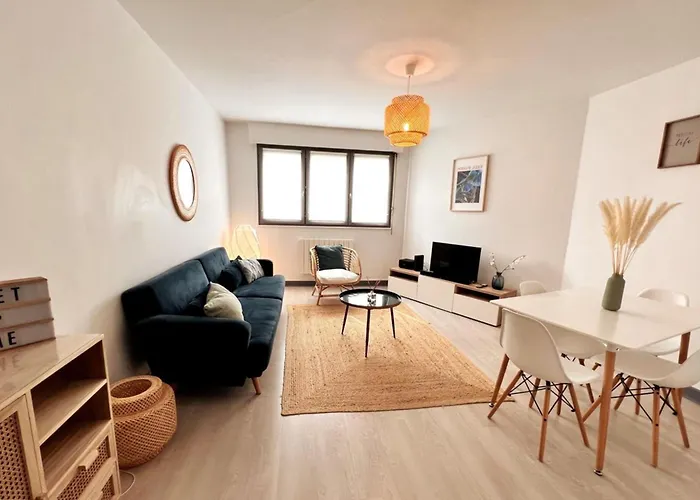 Appartement Centre Superbe F2 Avec Garage Nancy