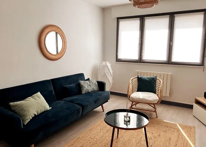 Appartement Centre Superbe F2 Avec Garage Nancy